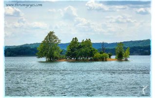 Table Rock Lake Island